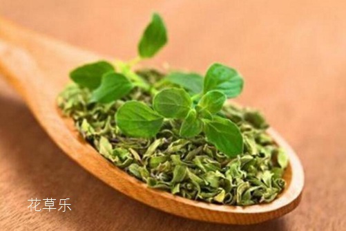 微单长镜头亚洲日韩淫乱高清无码之电车淫乱，探索摄影新维度，捕捉生活细腻瞬间